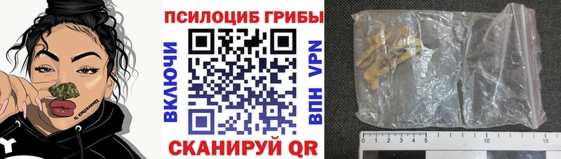 Псилоцибиновые грибы MAGIC MUSHROOMS  Купить  Омутнинск 